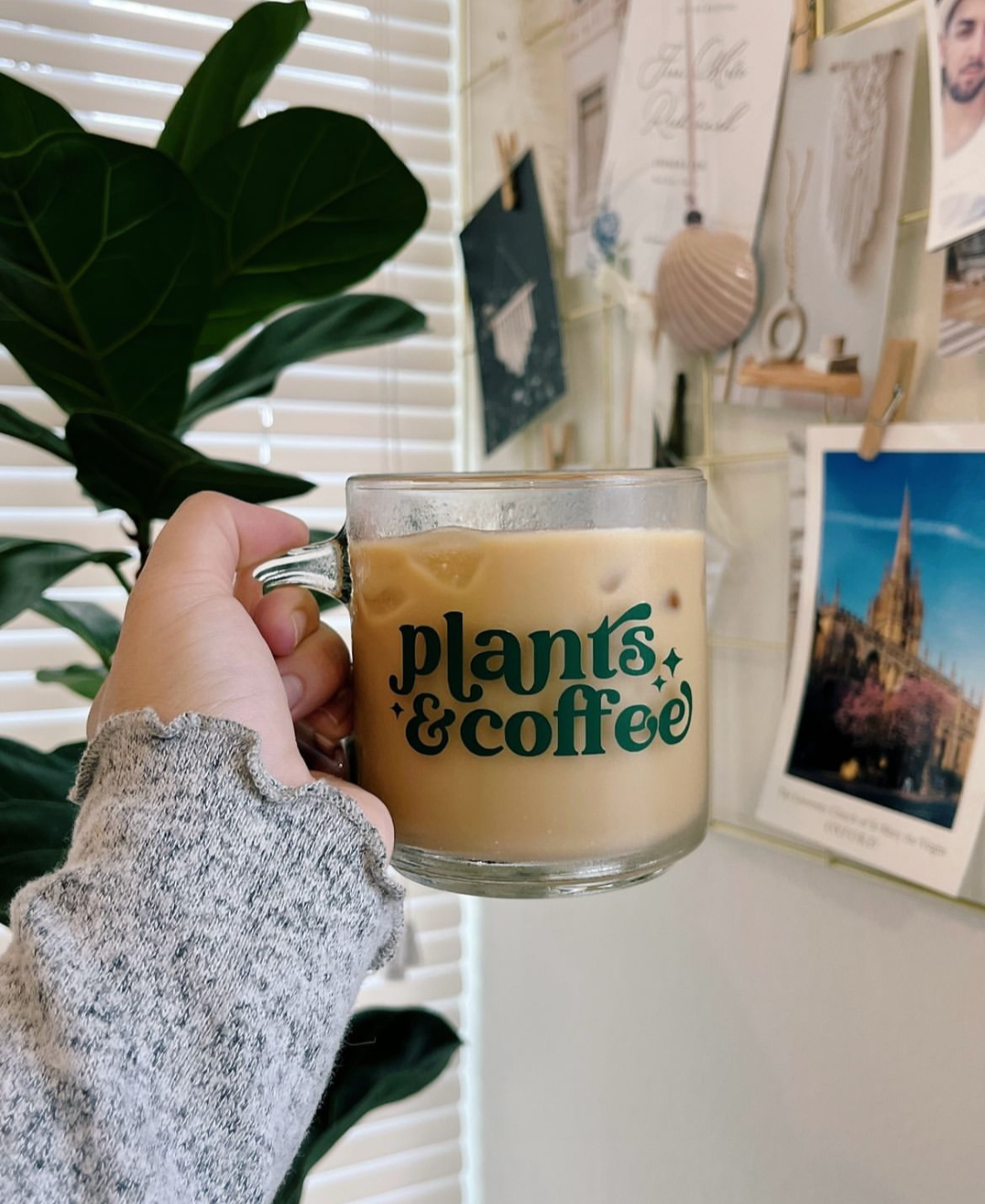 Plants & Coffee